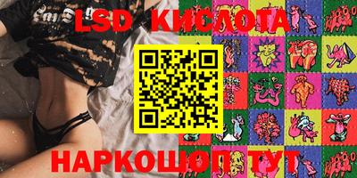 сатива Краснодар