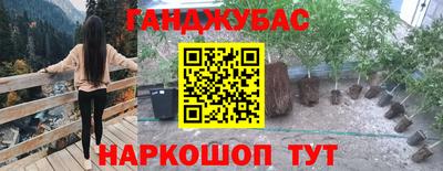сатива Краснодар