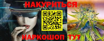 сатива Краснодар