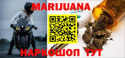 сатива Краснодар