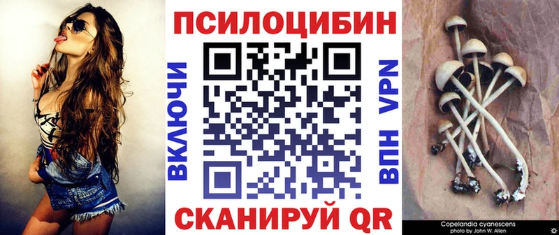 наркотики  Можайск  ссылка на мегу как зайти  Псилоцибиновые грибы мицелий 