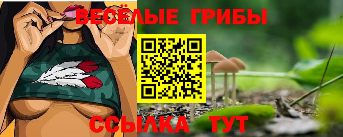 Псилоцибиновые грибы мухоморы Можайск