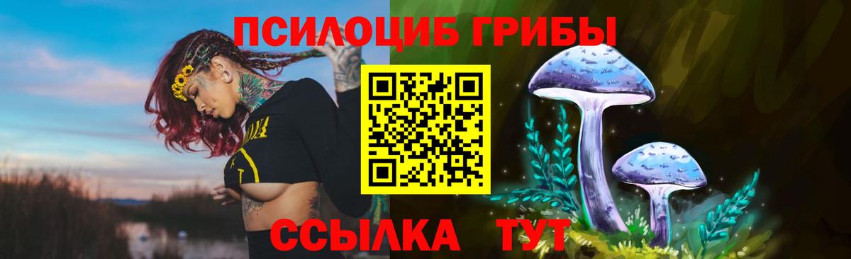 Галлюциногенные грибы MAGIC MUSHROOMS  Можайск 
